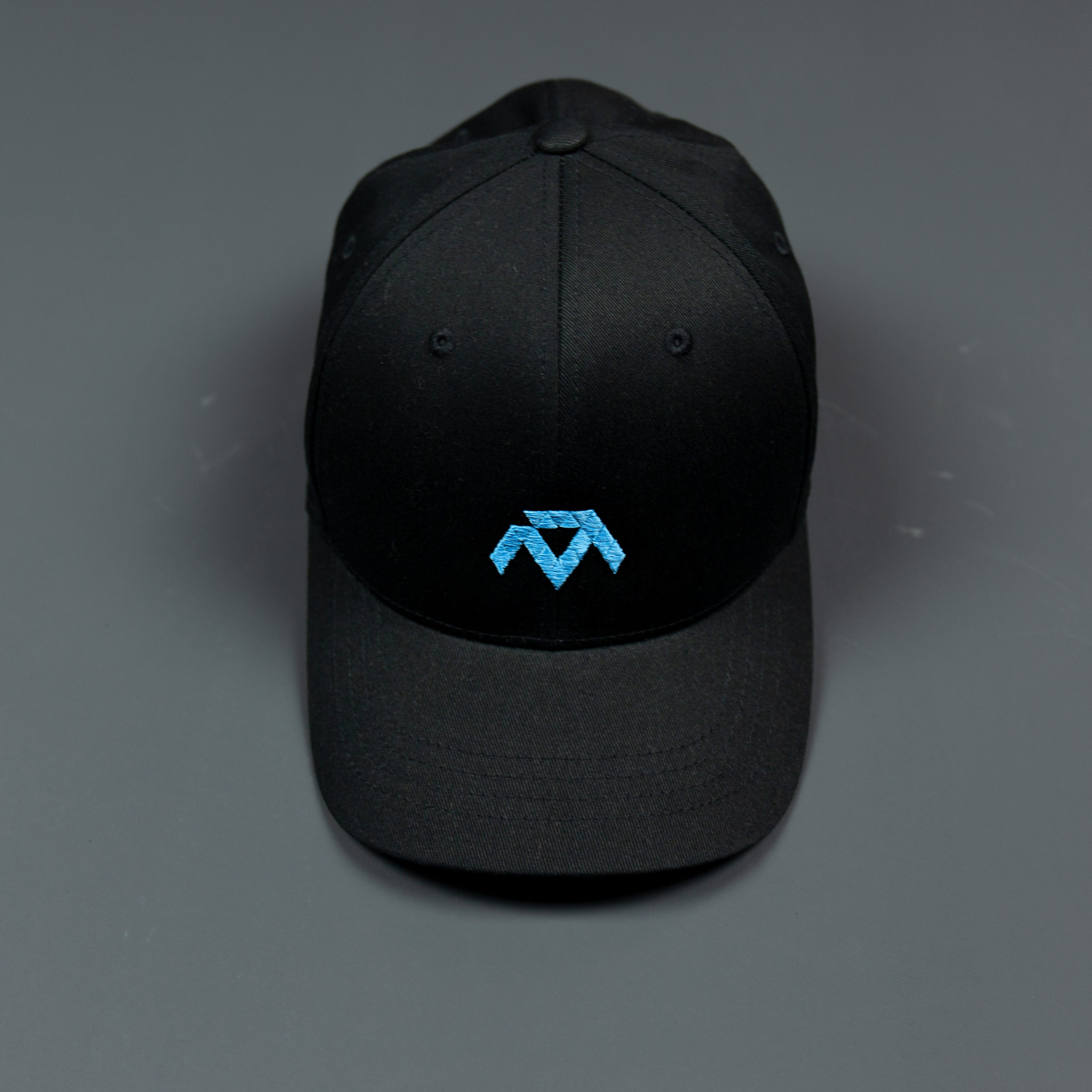 MTSIM Blue Logo Flexfit Cap – MTSIM USA